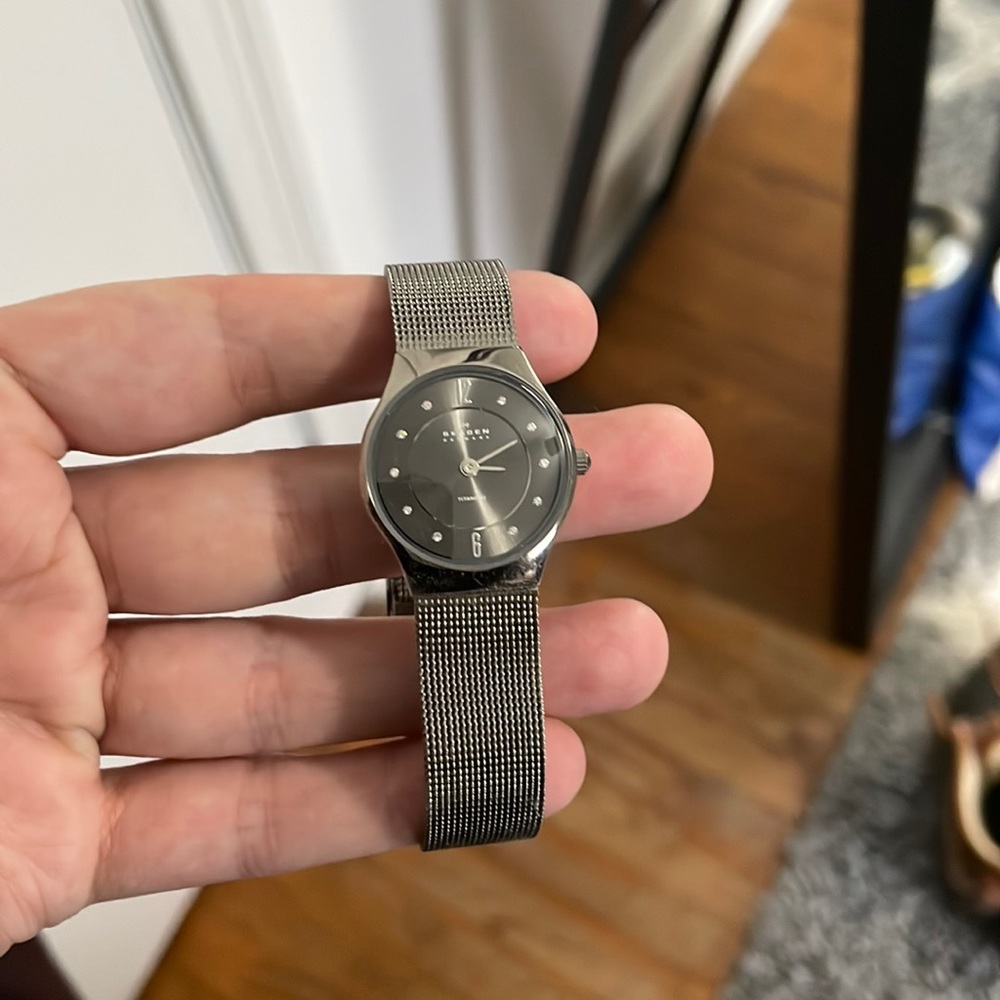 Small Silver Skagen Watch